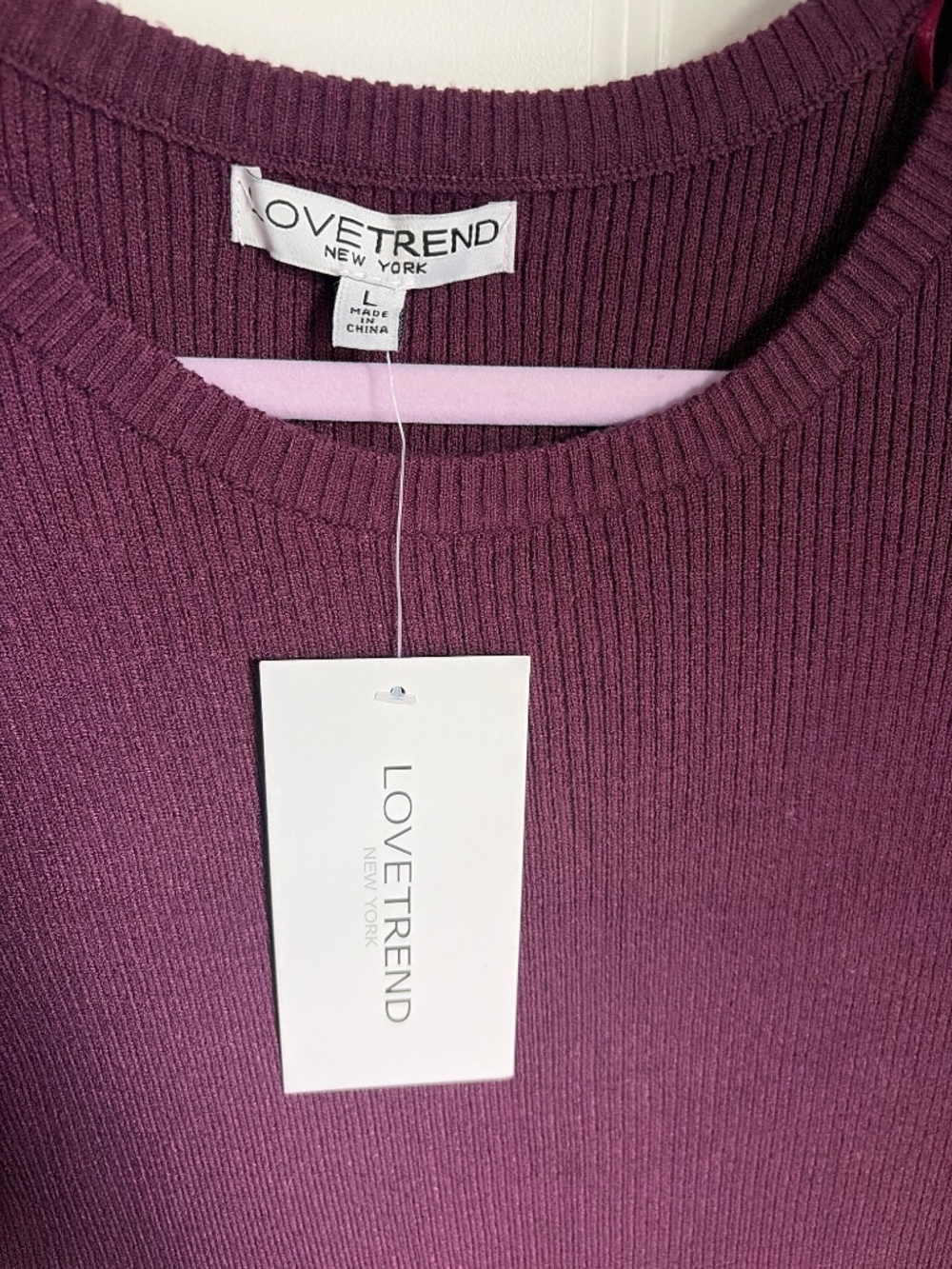 NWT long sleeve dress